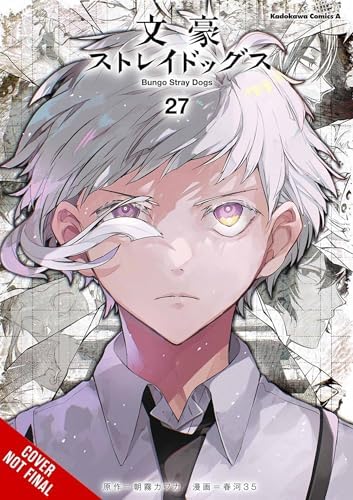 Amazon.com: Bungo Stray Dogs: Wan!, Vol. 12 (Volume 12